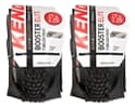 (Par)Kenda booster elite SCT tubeless 29x2.20
